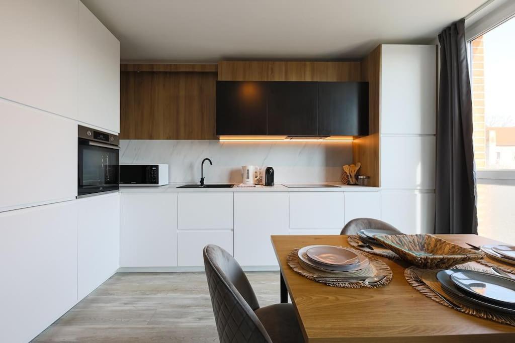 Luxury Apt. Near River & Parking 蒂米什瓦拉 外观 照片