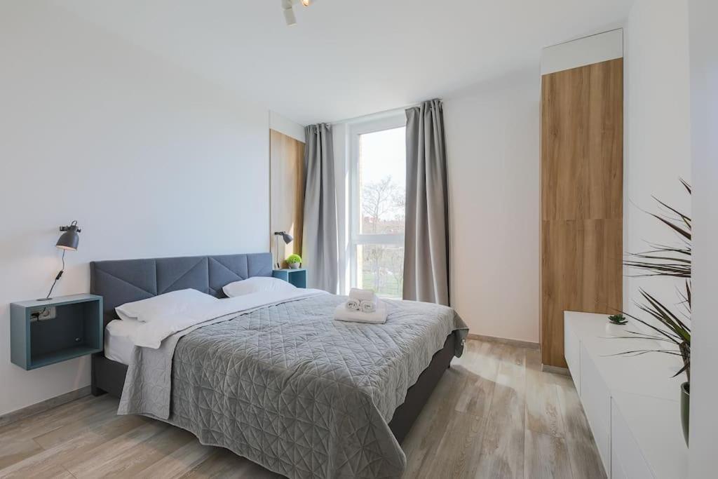Luxury Apt. Near River & Parking 蒂米什瓦拉 外观 照片