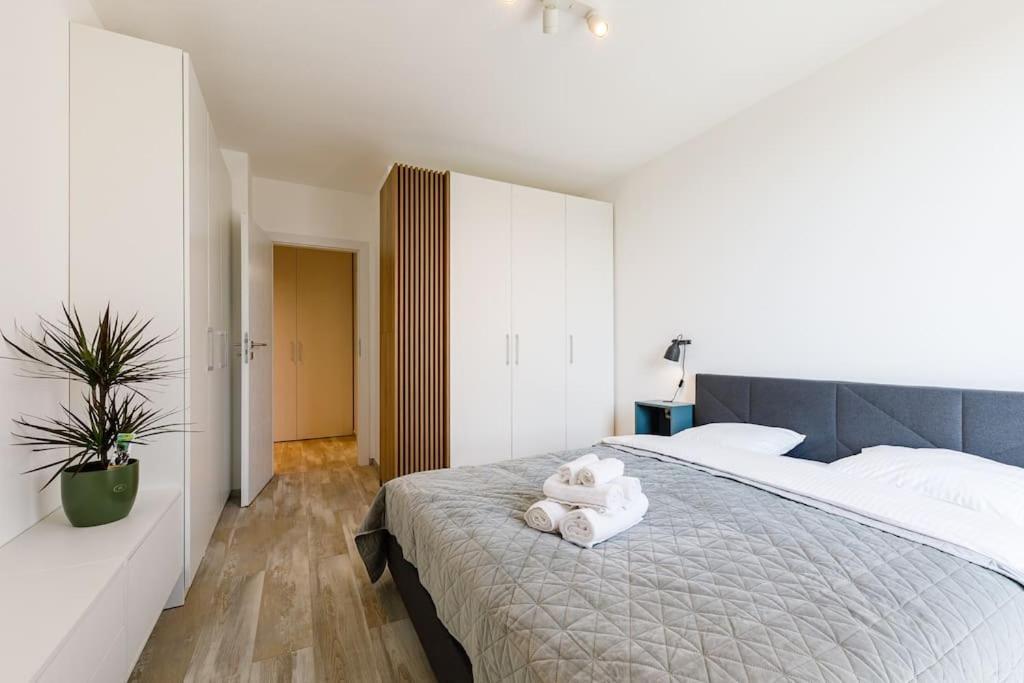 Luxury Apt. Near River & Parking 蒂米什瓦拉 外观 照片