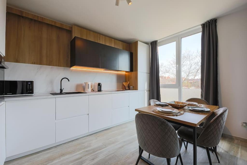Luxury Apt. Near River & Parking 蒂米什瓦拉 外观 照片