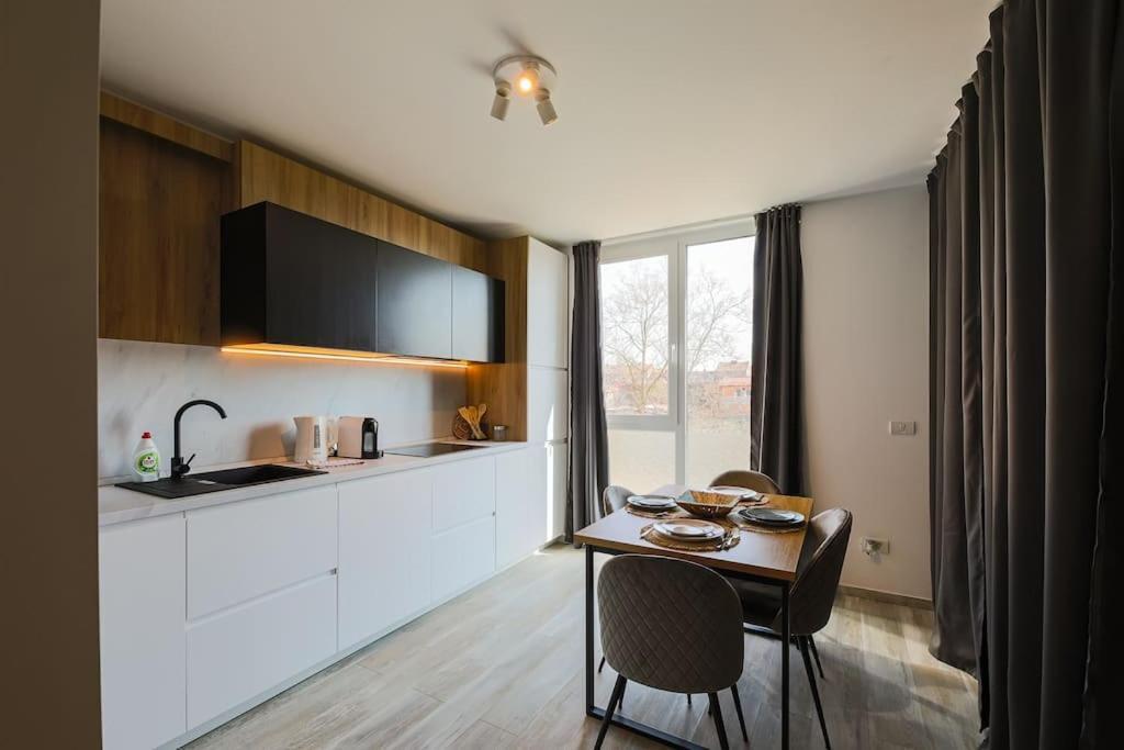 Luxury Apt. Near River & Parking 蒂米什瓦拉 外观 照片