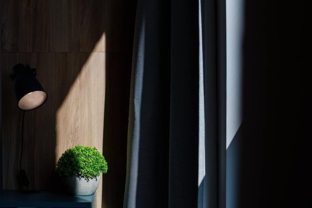 Luxury Apt. Near River & Parking 蒂米什瓦拉 外观 照片